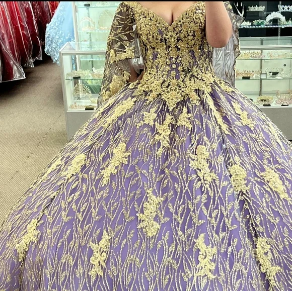 green emerald velvet dress Rachel Allan RQ3151 Beaded Ball Gown Long Quinceanera Dress – The Dress  Outlet